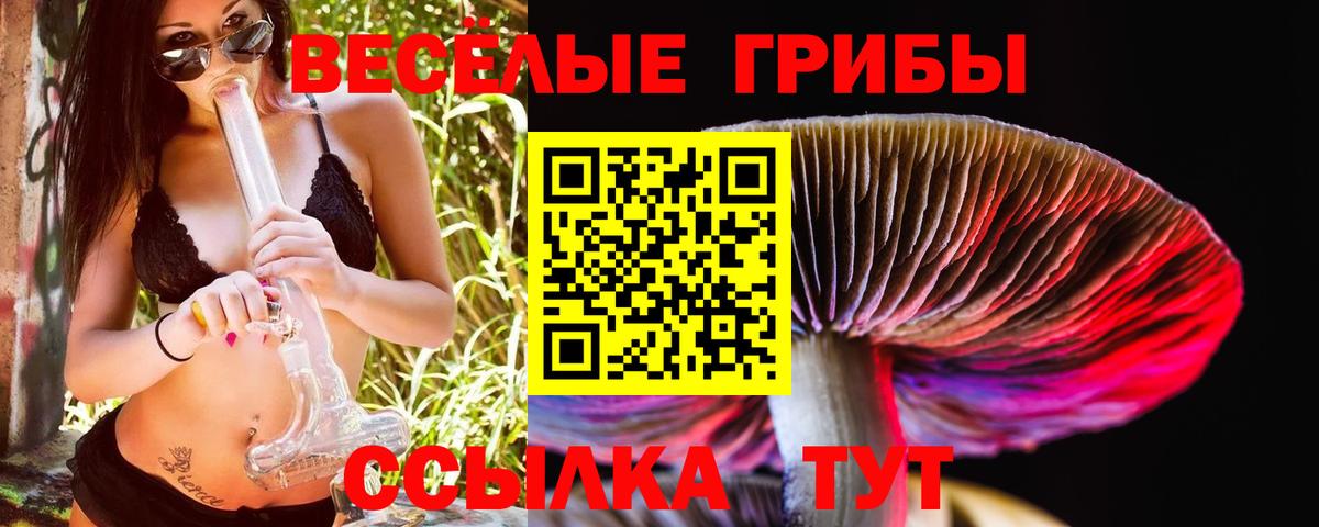 Псилоцибиновые грибы Psilocybine cubensis Калуга